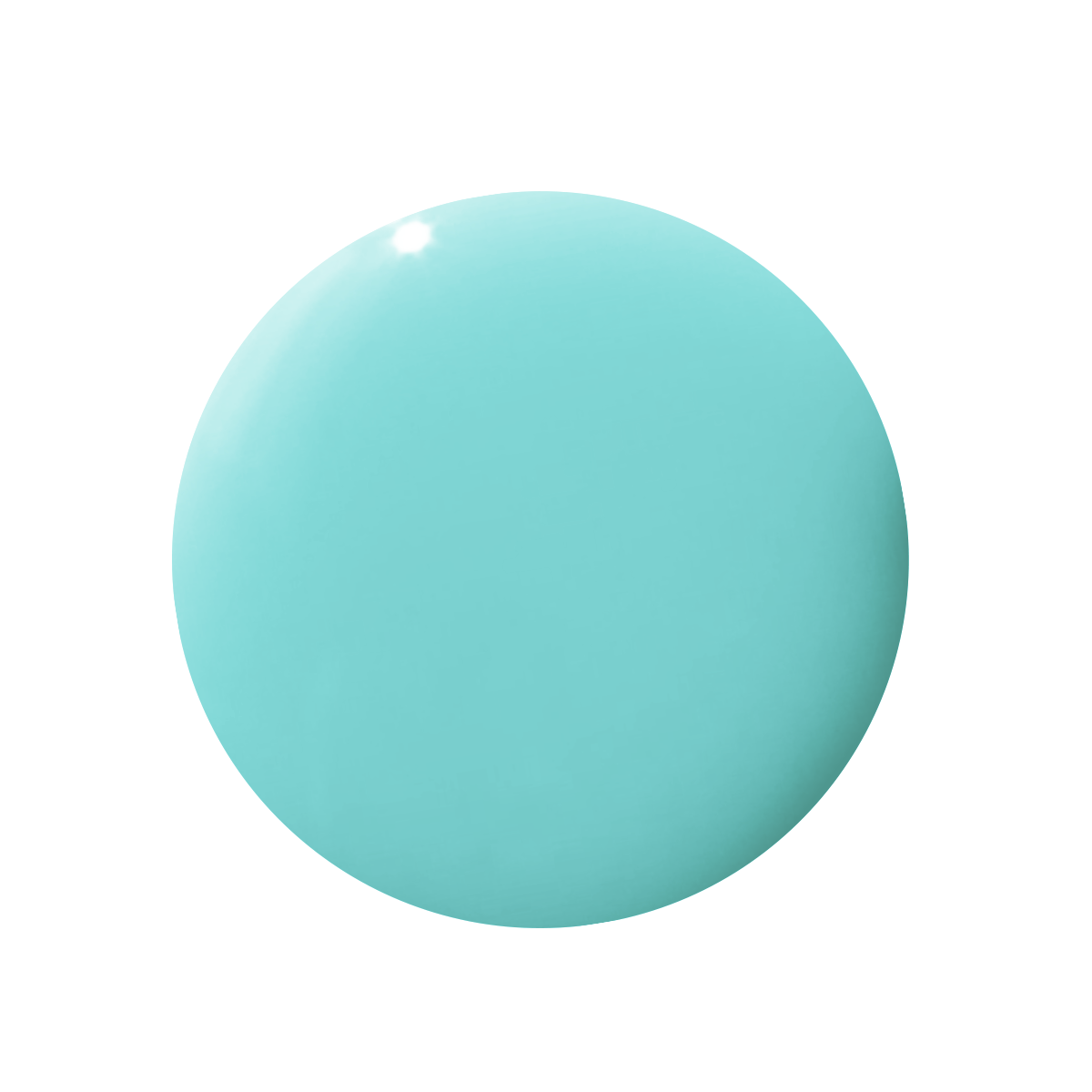 Parakeet、mySite、solidvoid