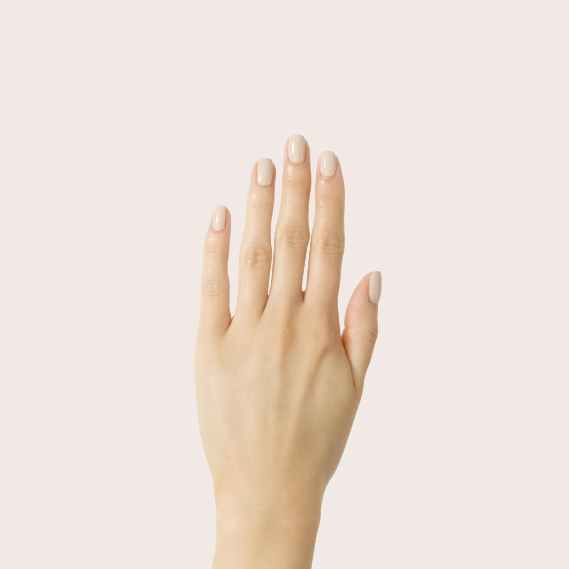 Chemistry、mySite、solidvoid