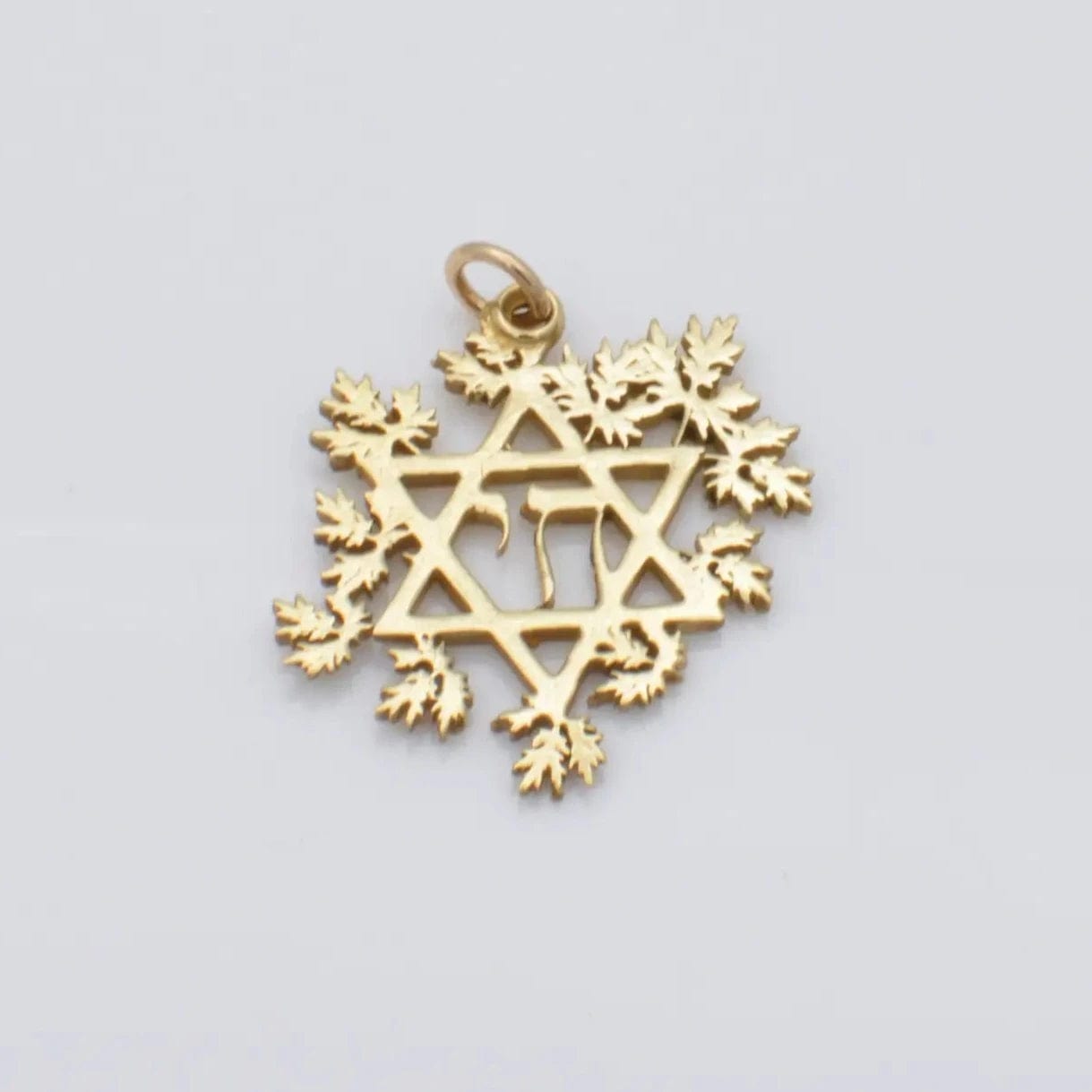 Artemisia Star of David and Chai Necklace、mySite、topwebapps