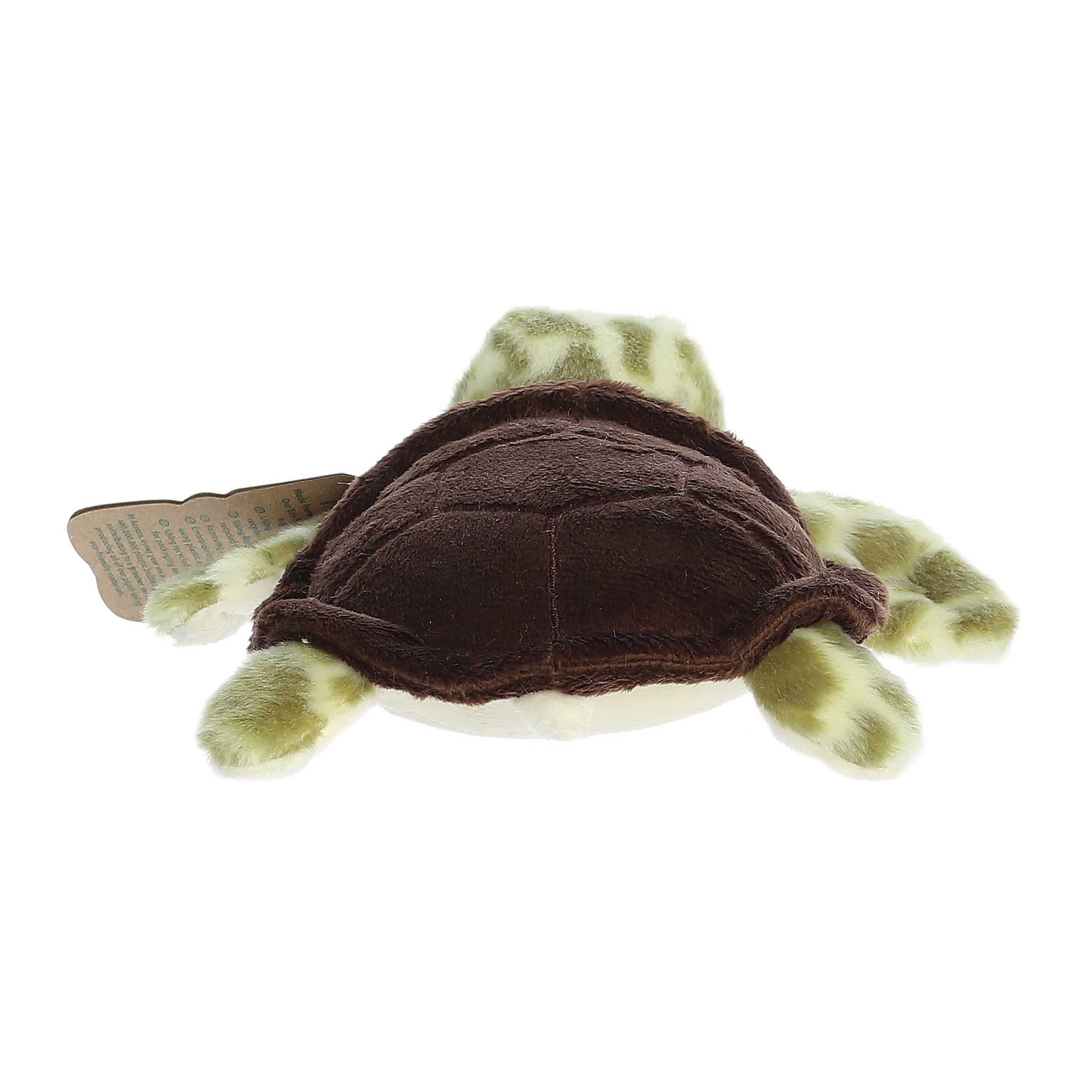 Aurora® - Eco Nation™ - Eco Softies™ - 8 Sea Turtle、mySite、g9winljtr