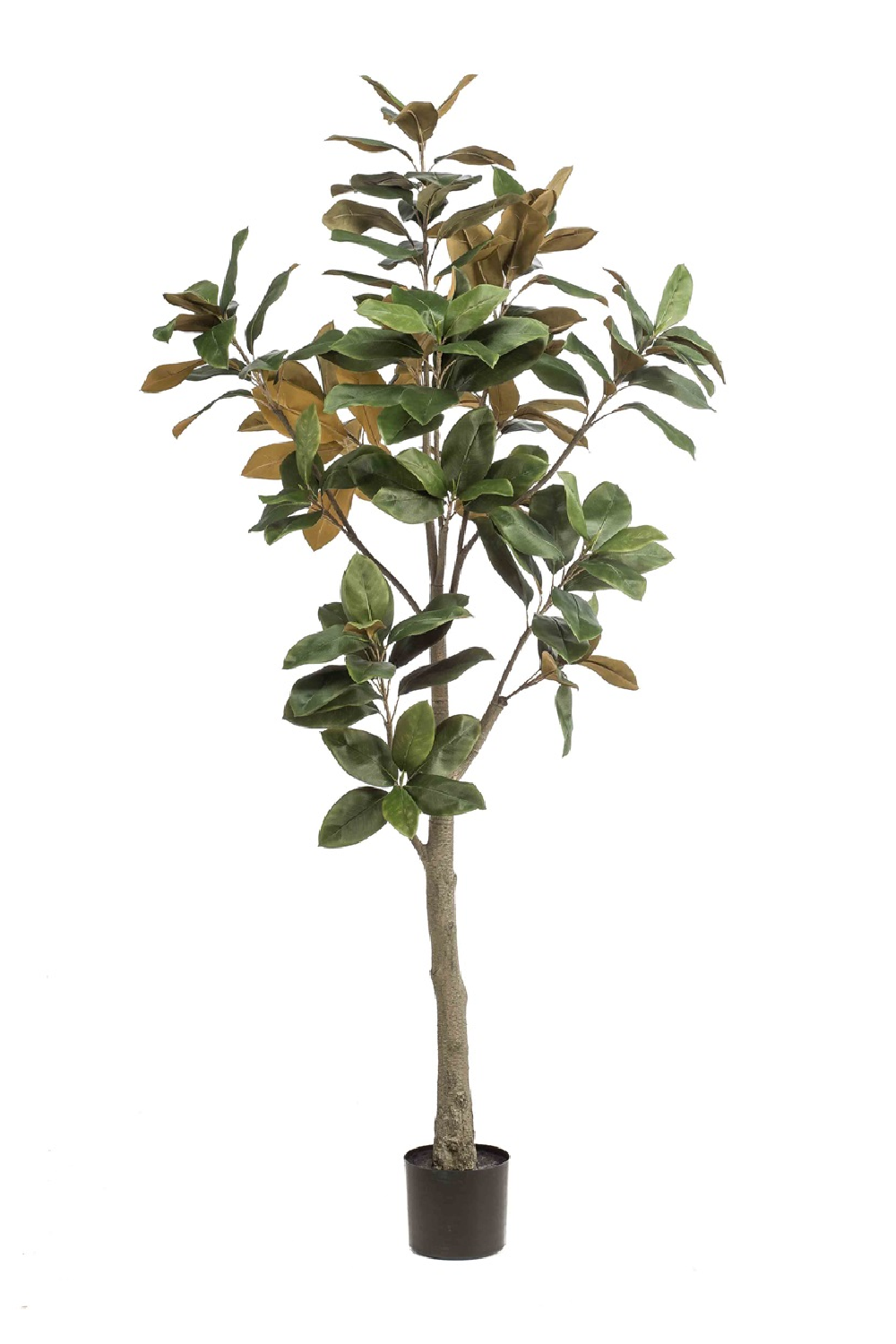 Potted Green Artificial Trees (2) M | Emerald Magnolia Denudata、mySite、neckold