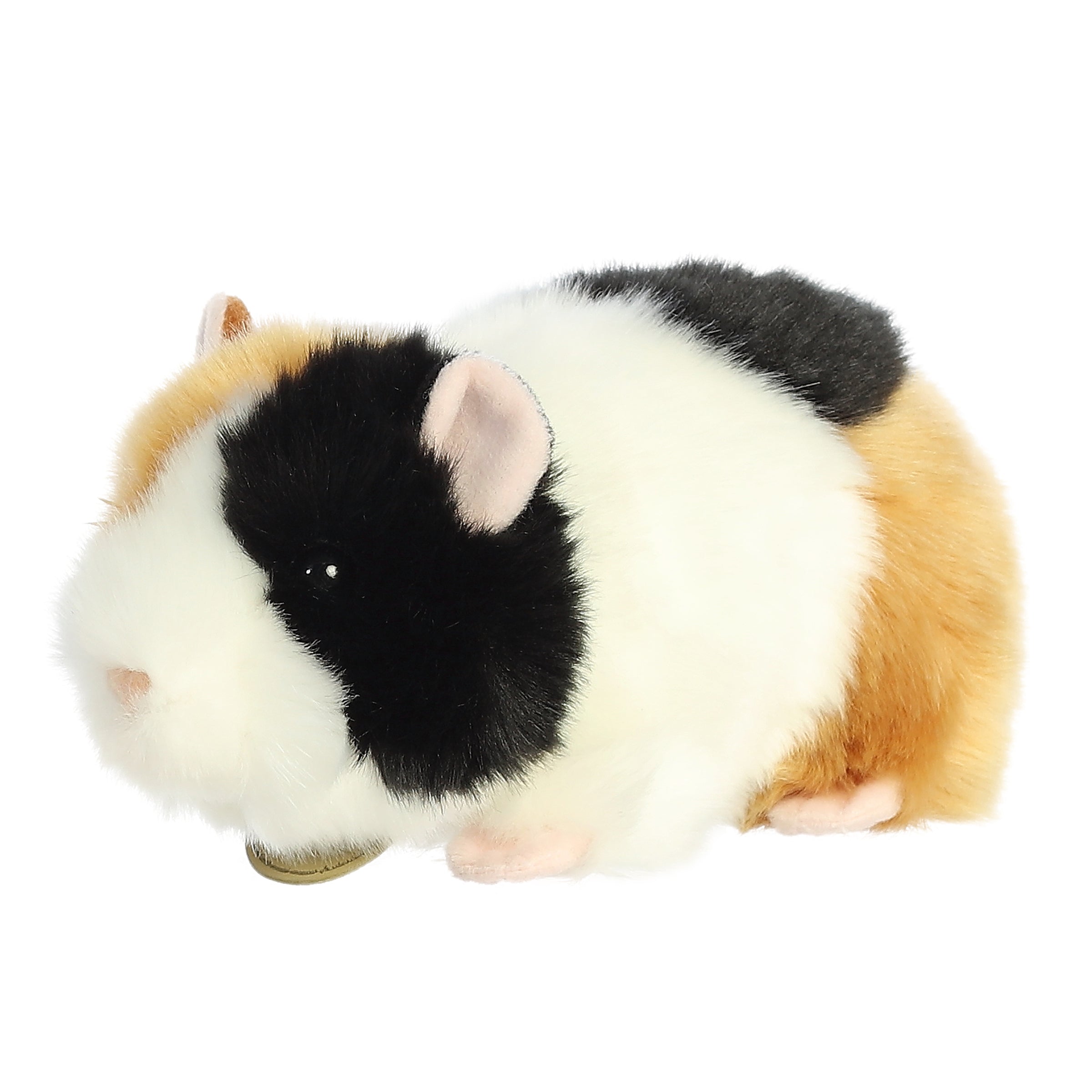 Aurora® - Miyoni® - 7.5 American Guinea Pig、mySite、g9winljtr