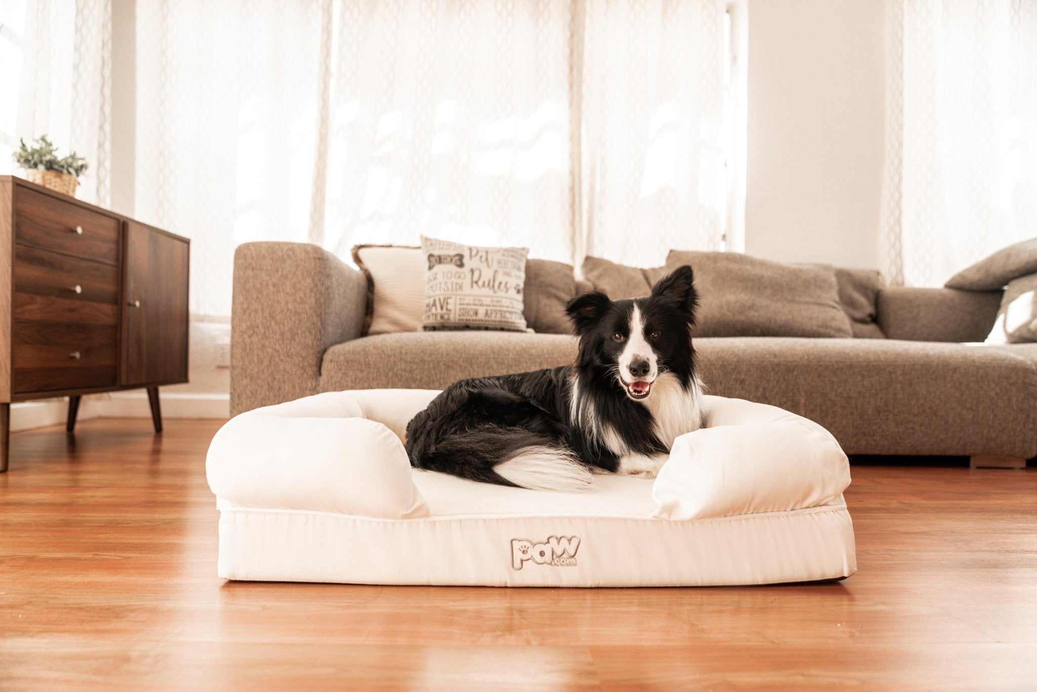 PupLounge™ Memory Foam Dog Bed Cover - White (Bed Not Included)、mySite、solidvoid