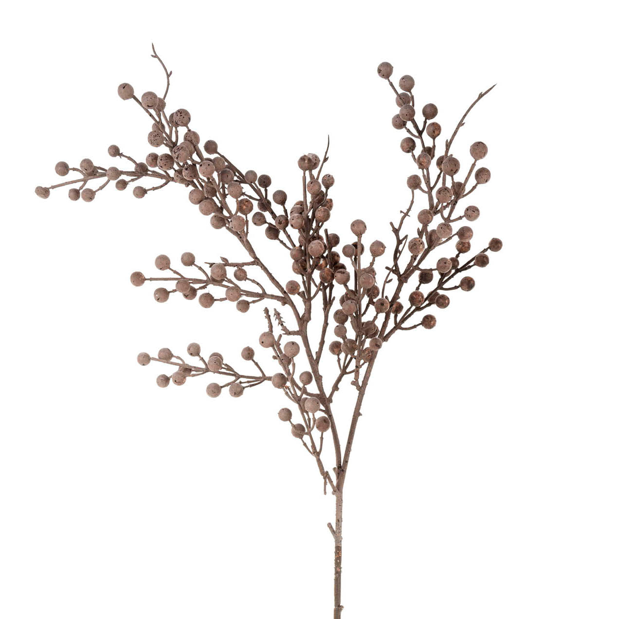  Berry Branch、mySite、elrpsem3k