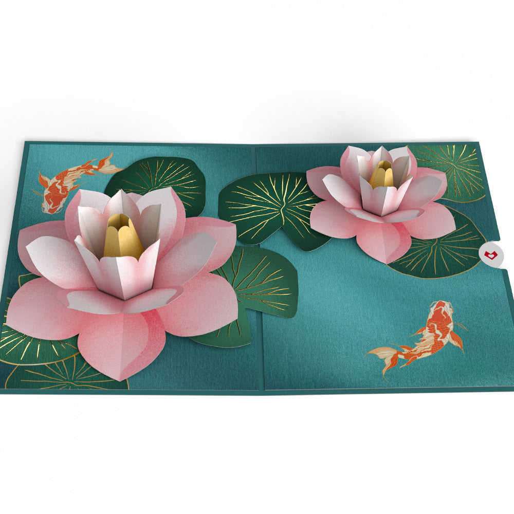 Koi Fish and Lotus Pond Pop-Up Card、mySite、solidvoid