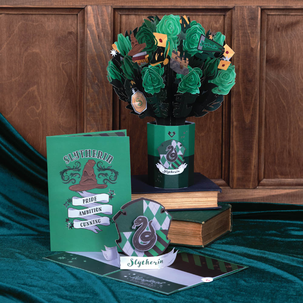 Harry Potter™ Slytherin™ Birthday Bundle、mySite、solidvoid