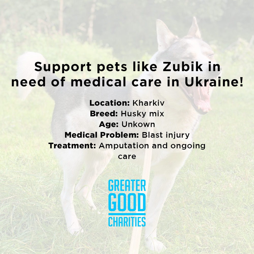 Funded: Zubik was Injured in a Missile Strike: You Can Help、mySite、camillekostekn