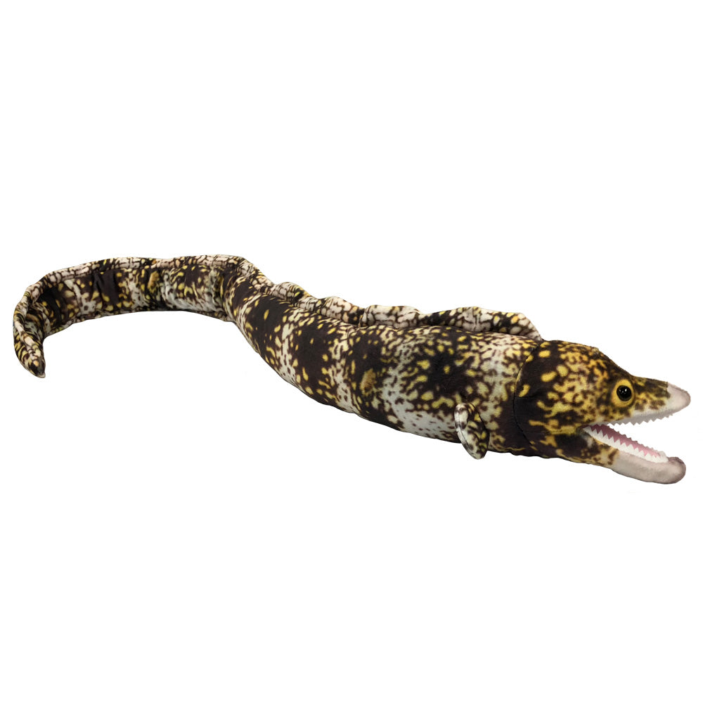 40IN SPOTTED EEL WITH PICTURE HT、mySite、g9winljtr