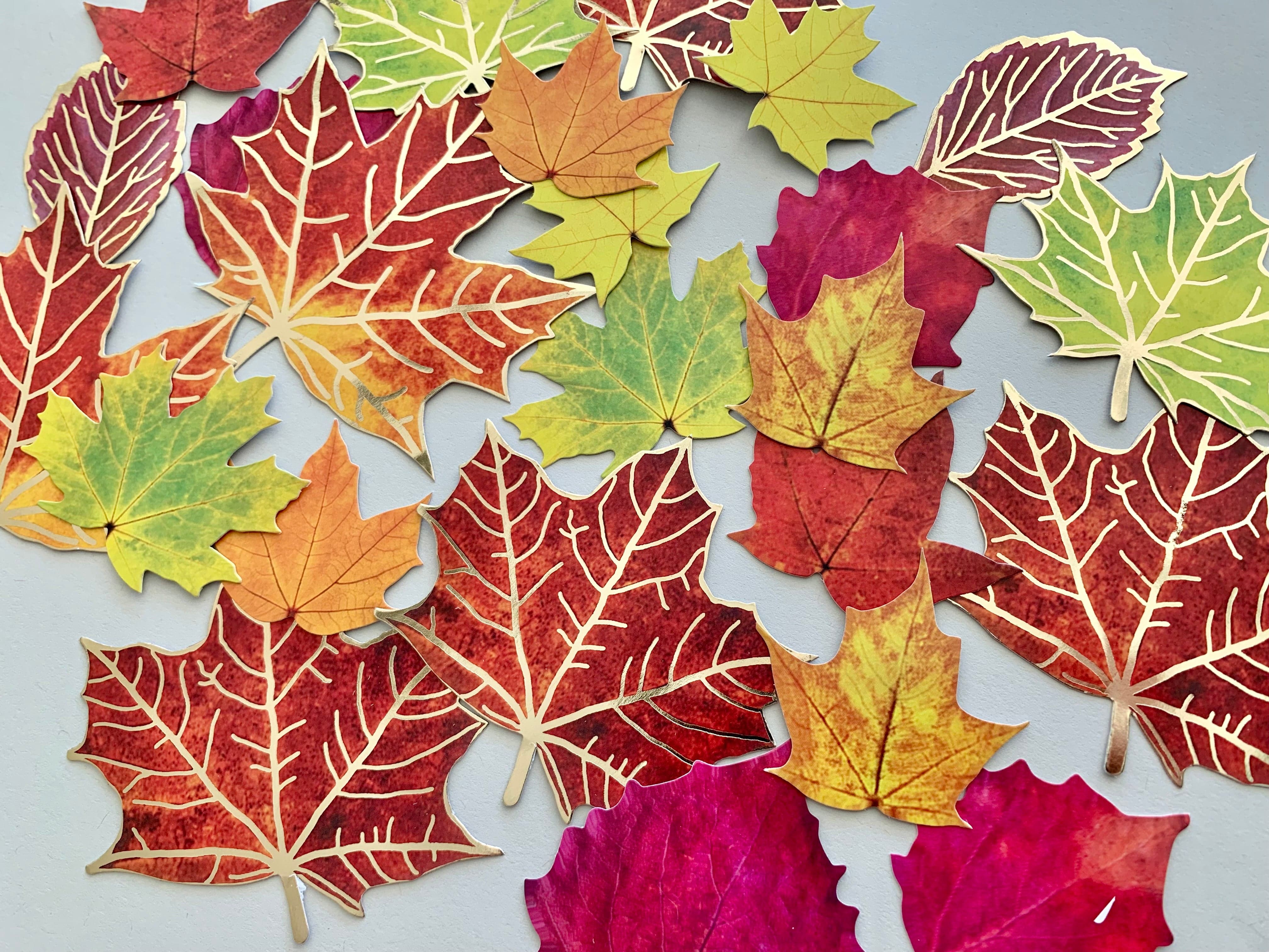 Scrapbook Stickers - Fall Leaves Die Cut Sticker Pack、mySite、ghnorth