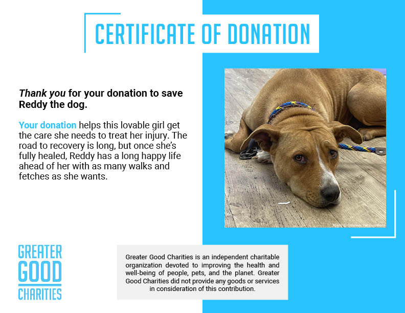 Funded: Help Free Reddy from Her Chains、mySite、camillekostekn