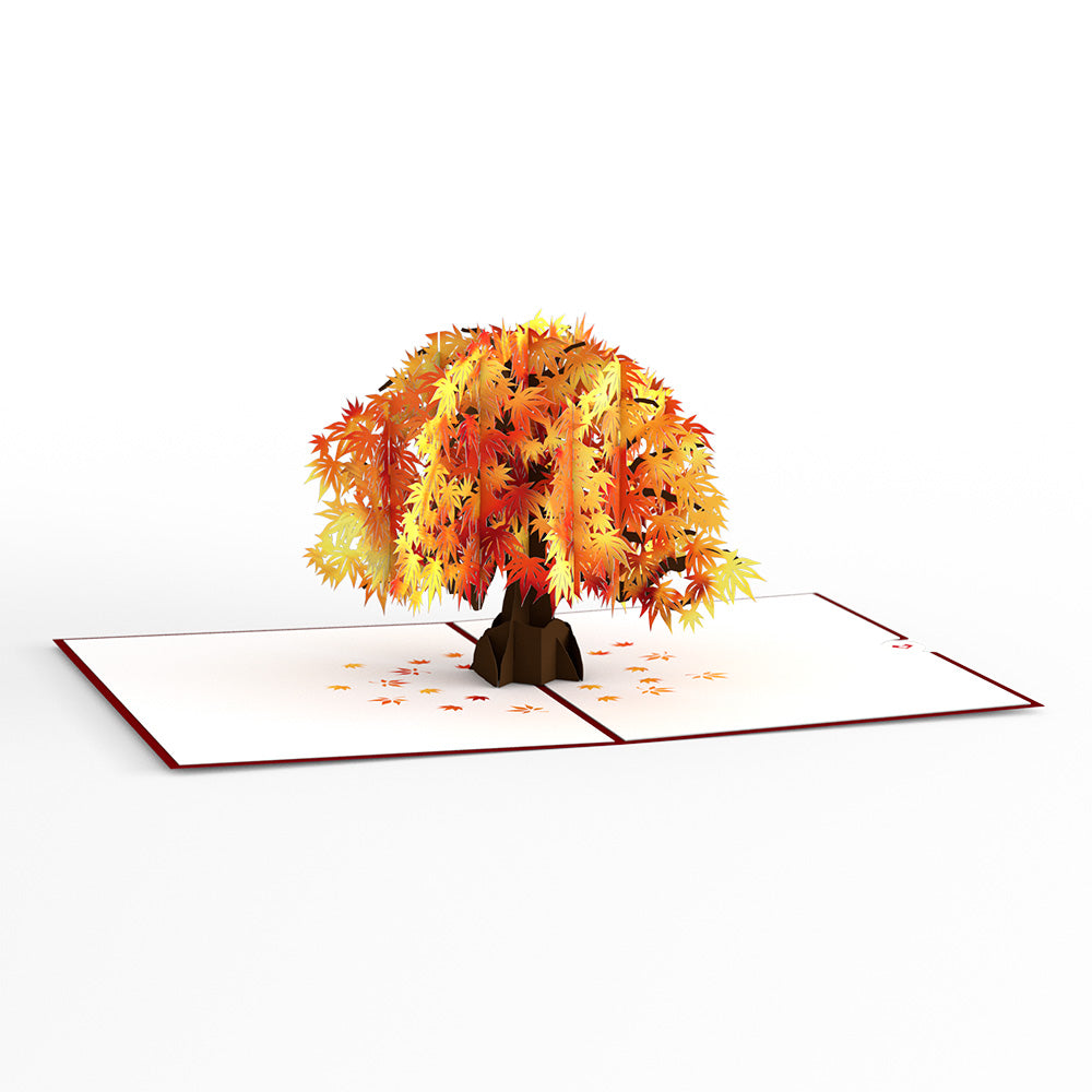 Sugar Maple Tree Pop-Up Card、mySite、solidvoid