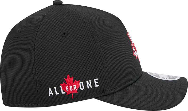 Toddler 2025 Jersey Hook 9FORTY Structured Hat、mySite、neckold