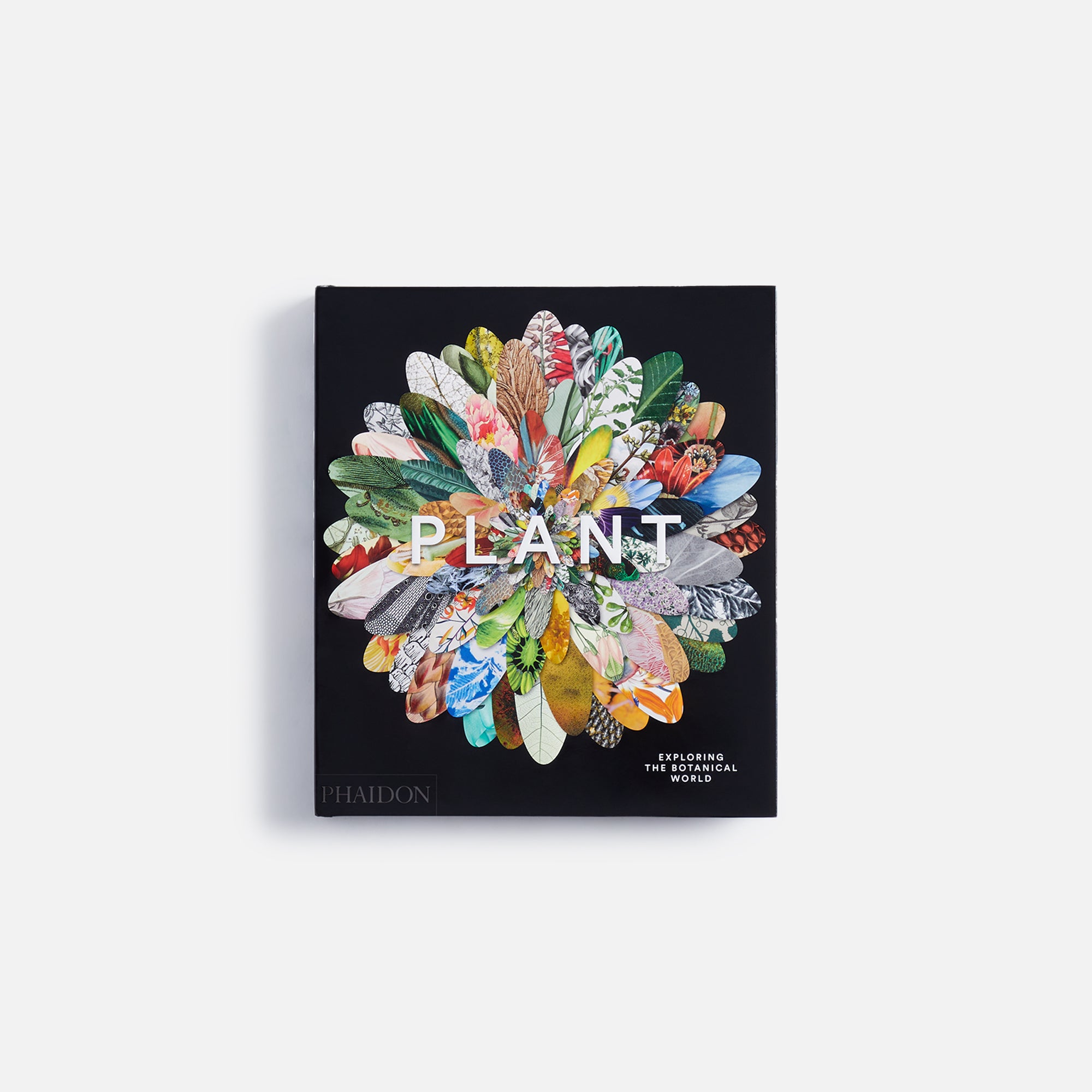 {product_title} - {shop_name}