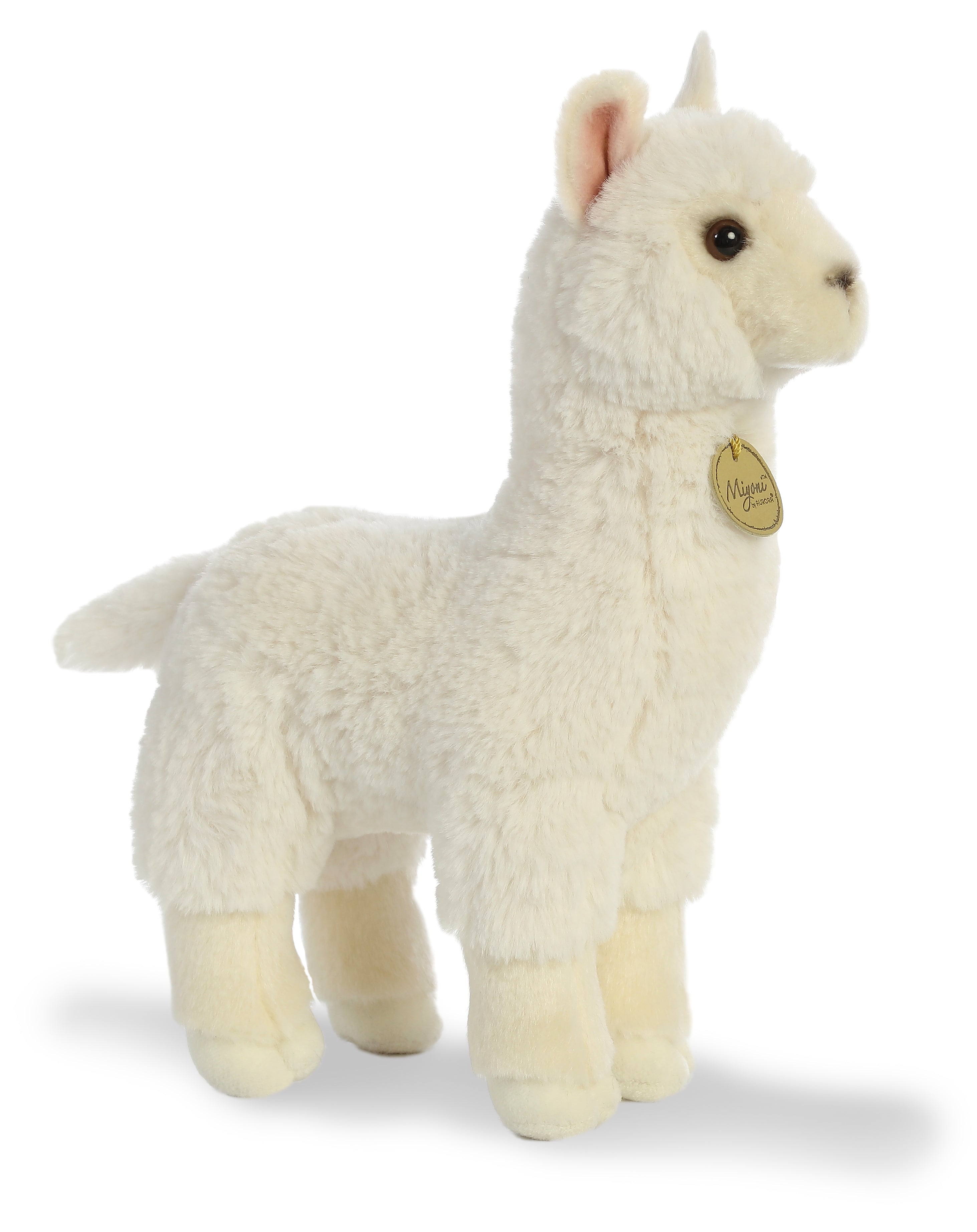 Aurora® - Miyoni® - 11 Alpaca、mySite、g9winljtr