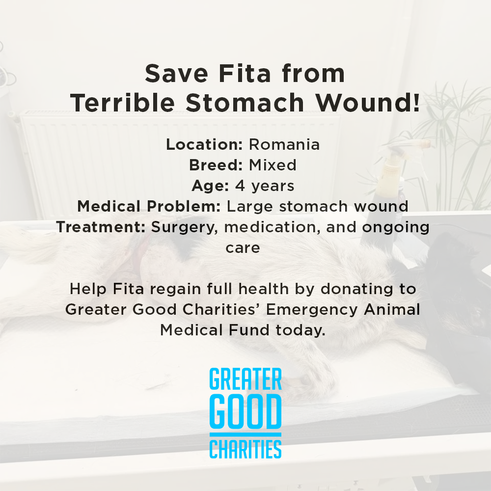 Funded: Save Fita from Terrible Stomach Wound、mySite、camillekostekn