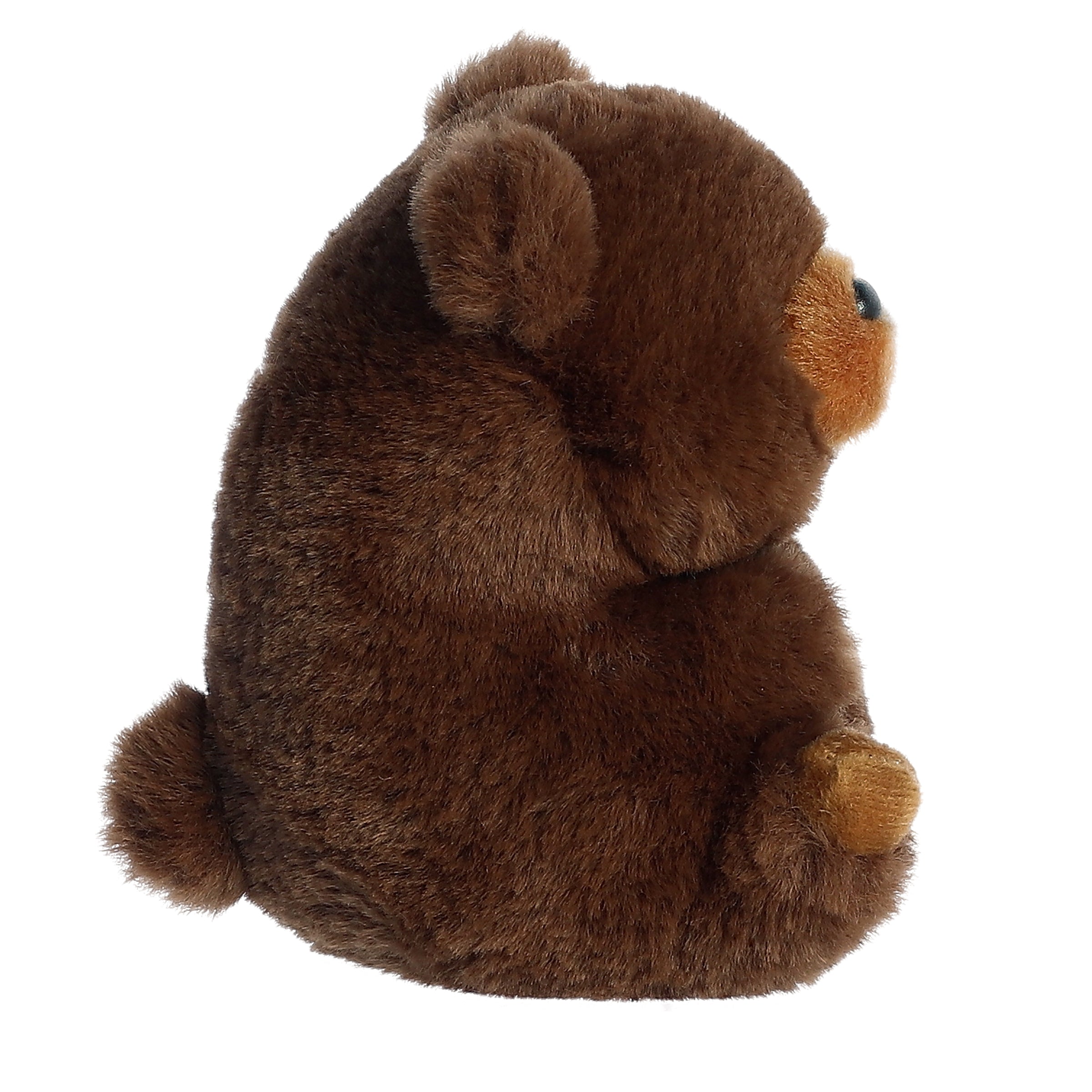 Aurora® - Rolly Pet™ - 5 Brambles Brown Bear™、mySite、g9winljtr