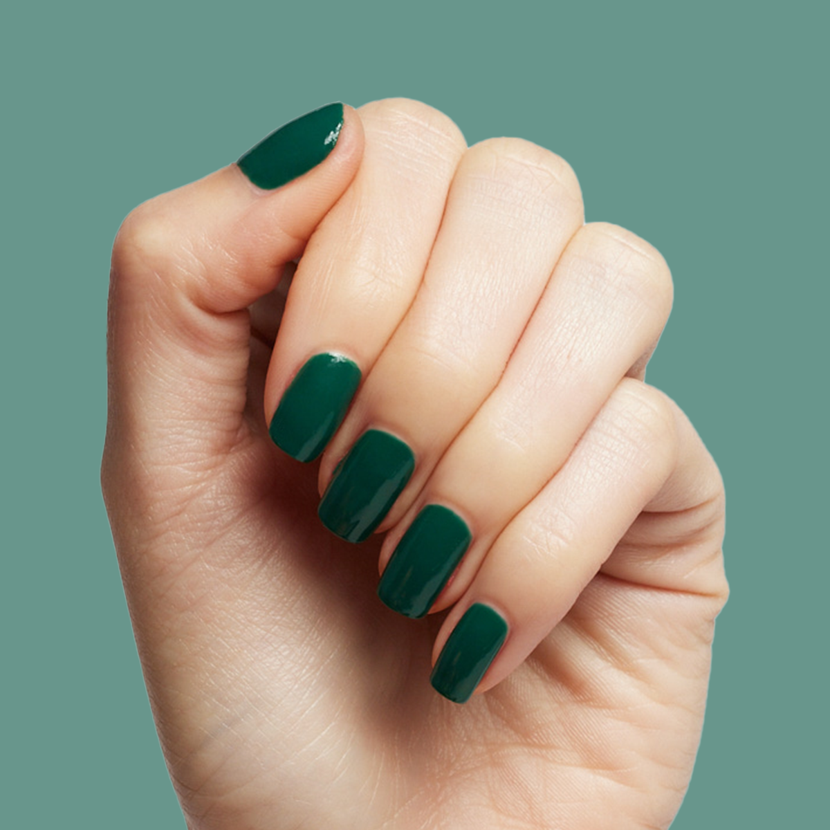 Fiddlefig、mySite、solidvoid