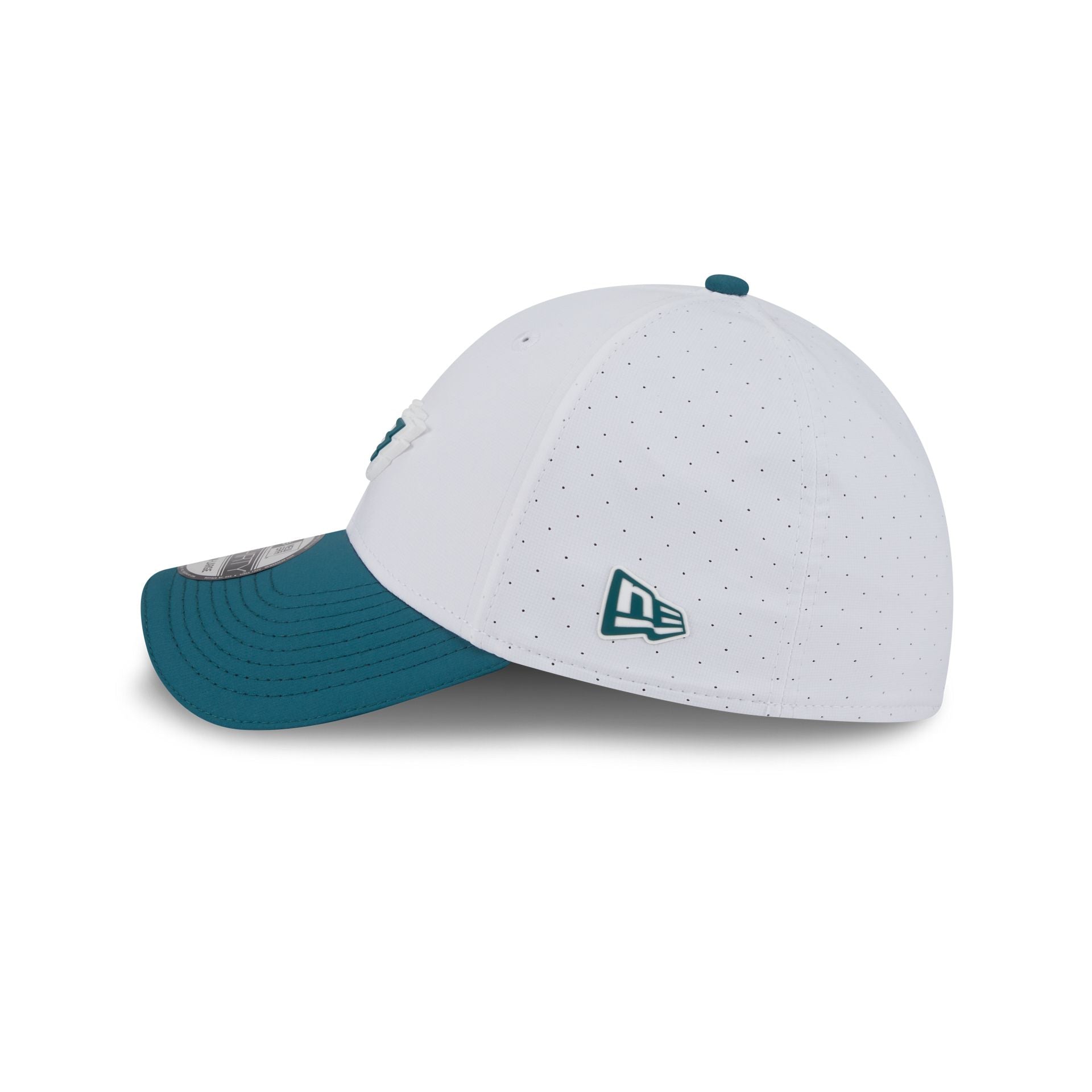 Philadelphia Eagles 2025 Training 39THIRTY Stretch Fit Hat、mySite、vikingsvslions