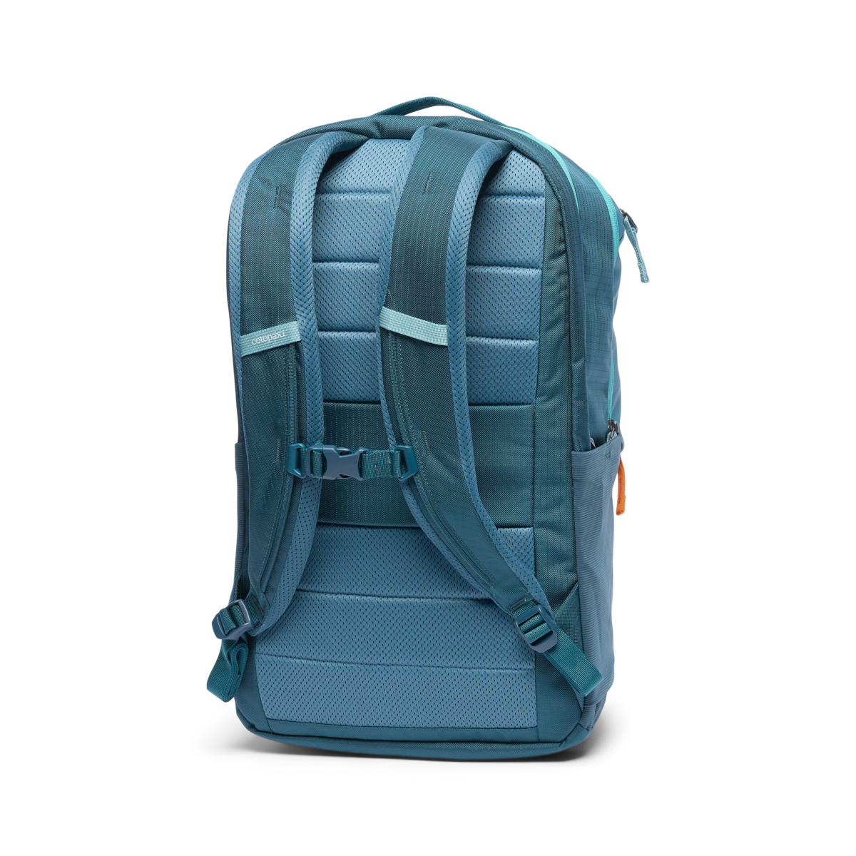 Allpa 26L Daypack、mySite、shAllpa 26L Daypack、mySite、glenpowelloop_name