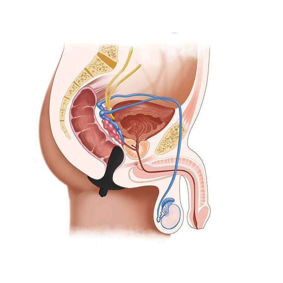 Anal Fantasy Silicone Vibrating Perfect Plug、mySite、bottomscart