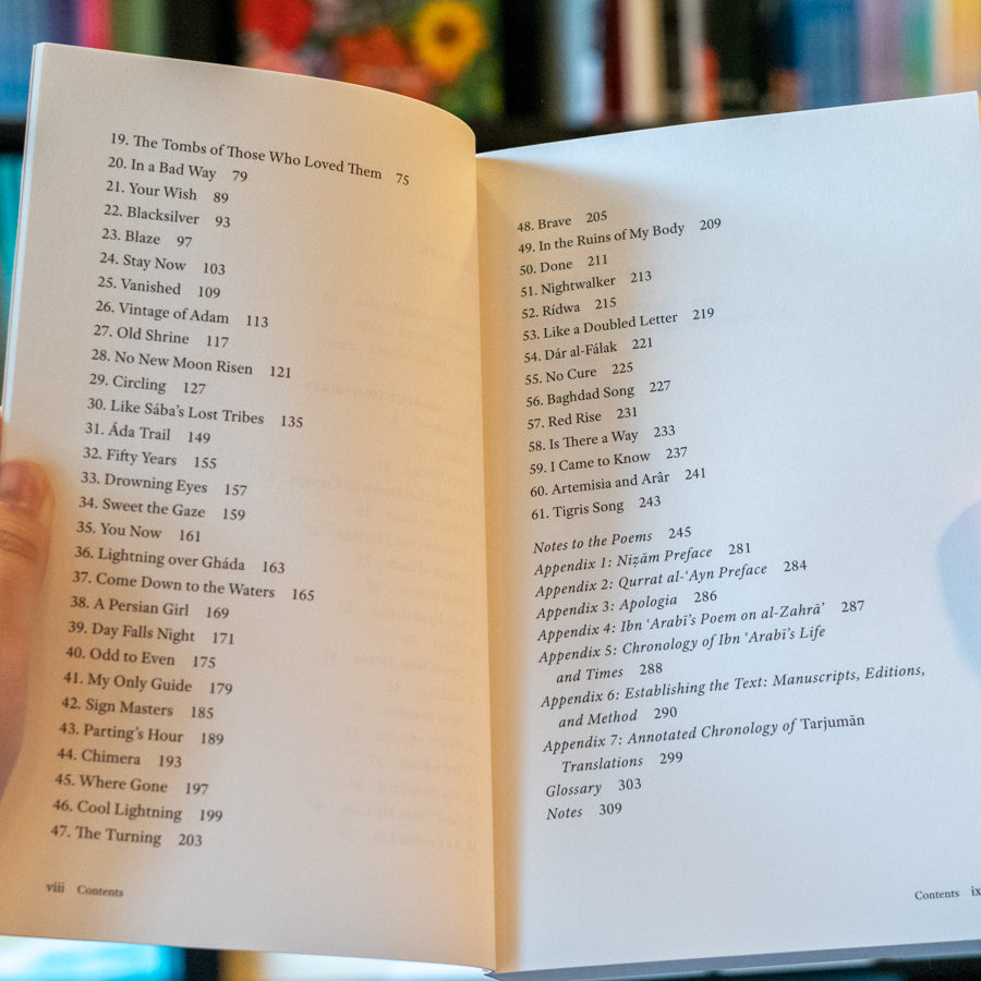 The Translator of Desires、mySite、topwebapps