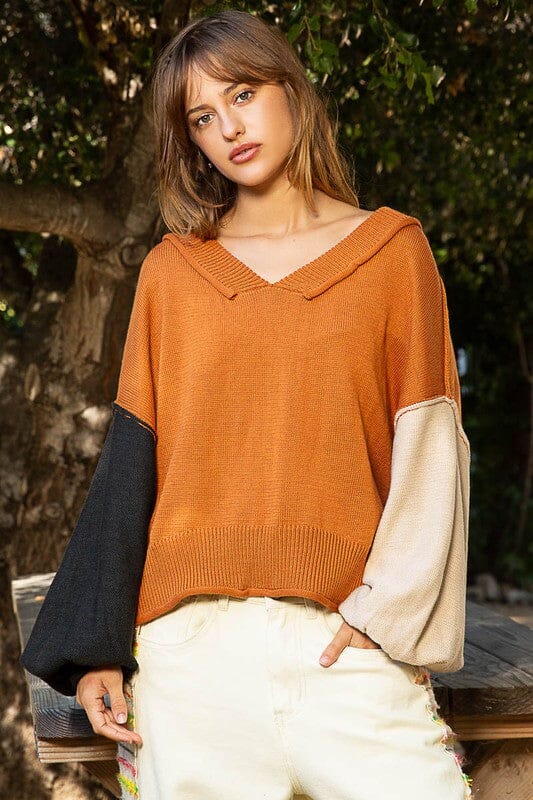 POL Exposed Seam Roll Edge Color Block V Neck Sweater、mySite、camillekostekn