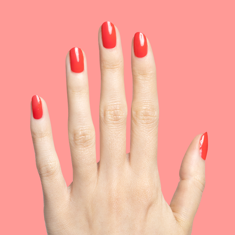 Fragola、mySite、solidvoid