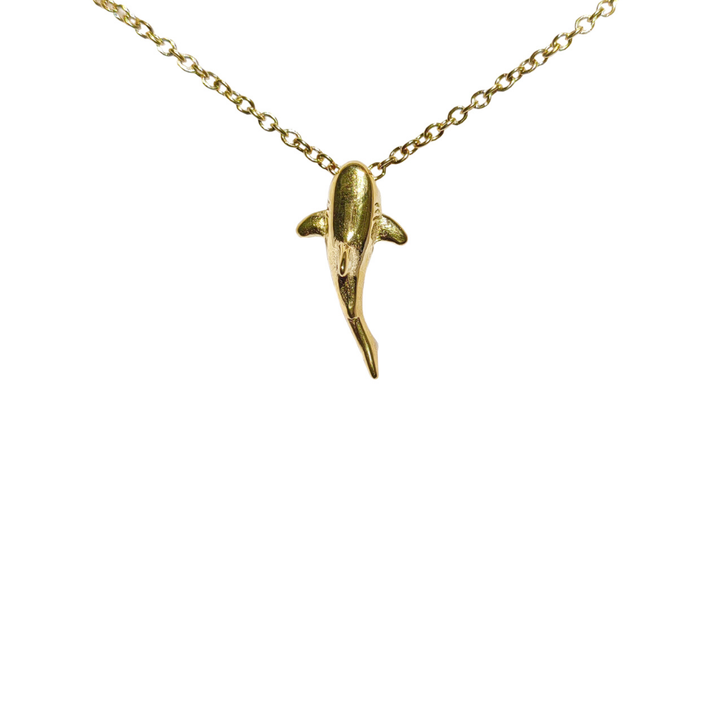 Shark Necklace、mySite、hinf8tx79