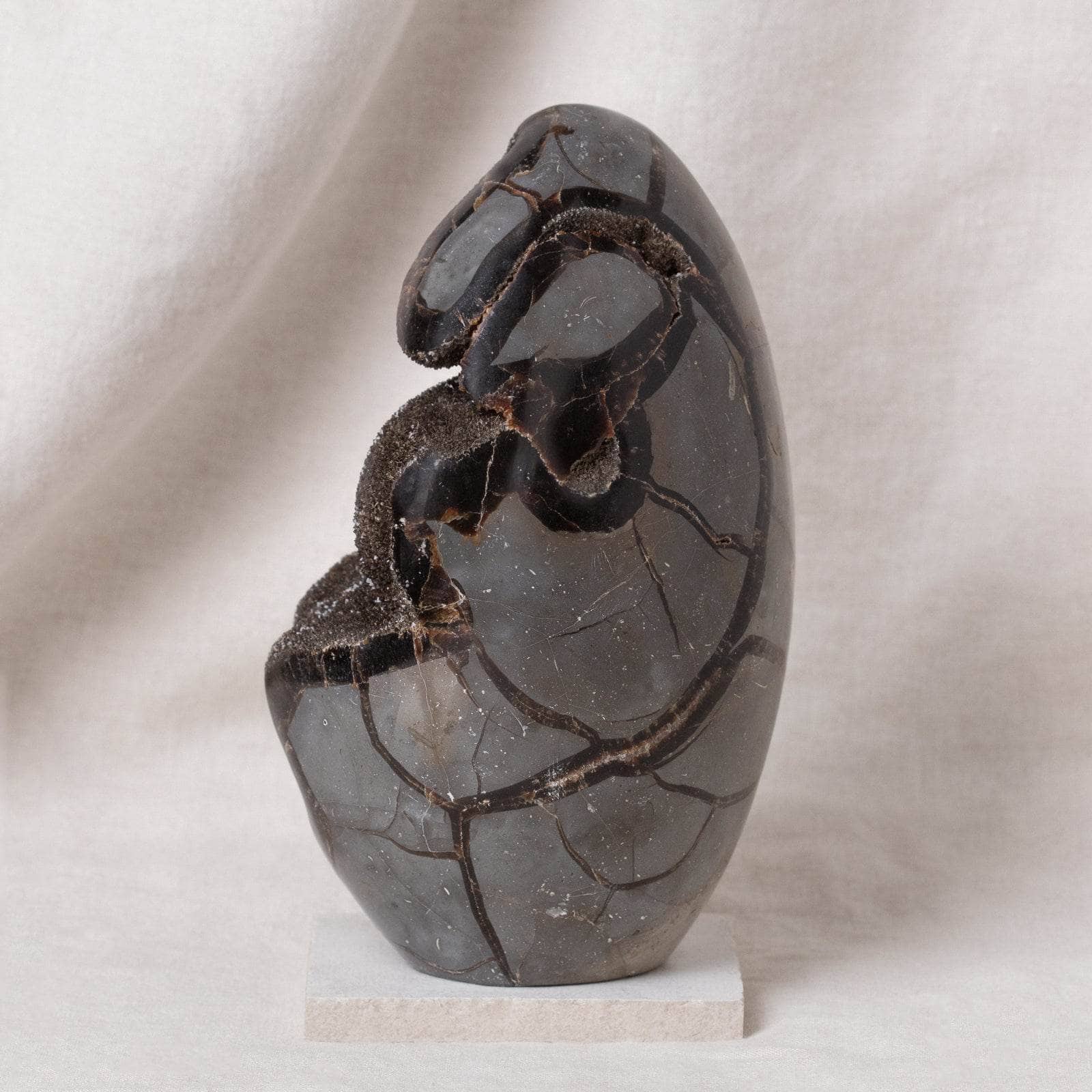 Rare Black Septarian Freeform Crystal、mySite、hinf8tx79