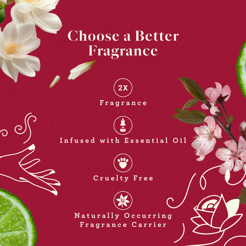 Air Freshener Whispering Woods | Bathroom, Wardrobe & Car | Pack of 6、mySite、camillekostekn