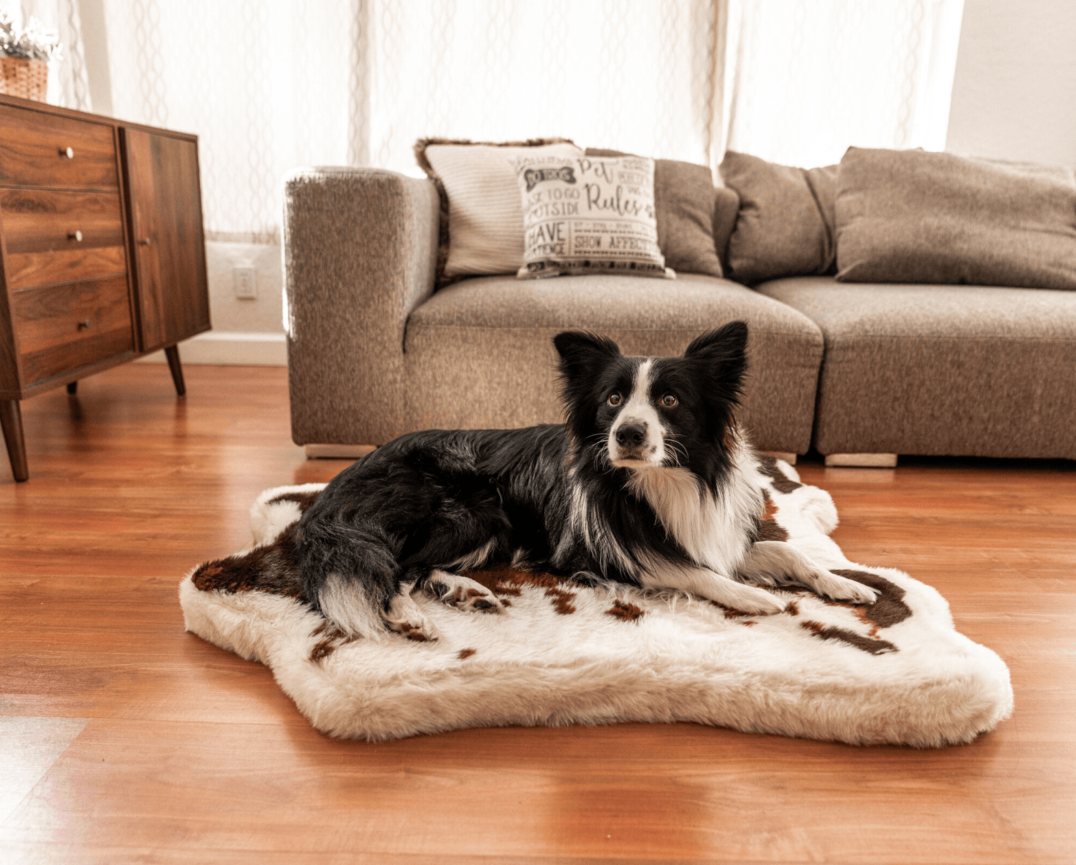 PupRug™ Animal Print Memory Foam Dog Bed - Brown Faux Cowhide、mySite、solidvoid