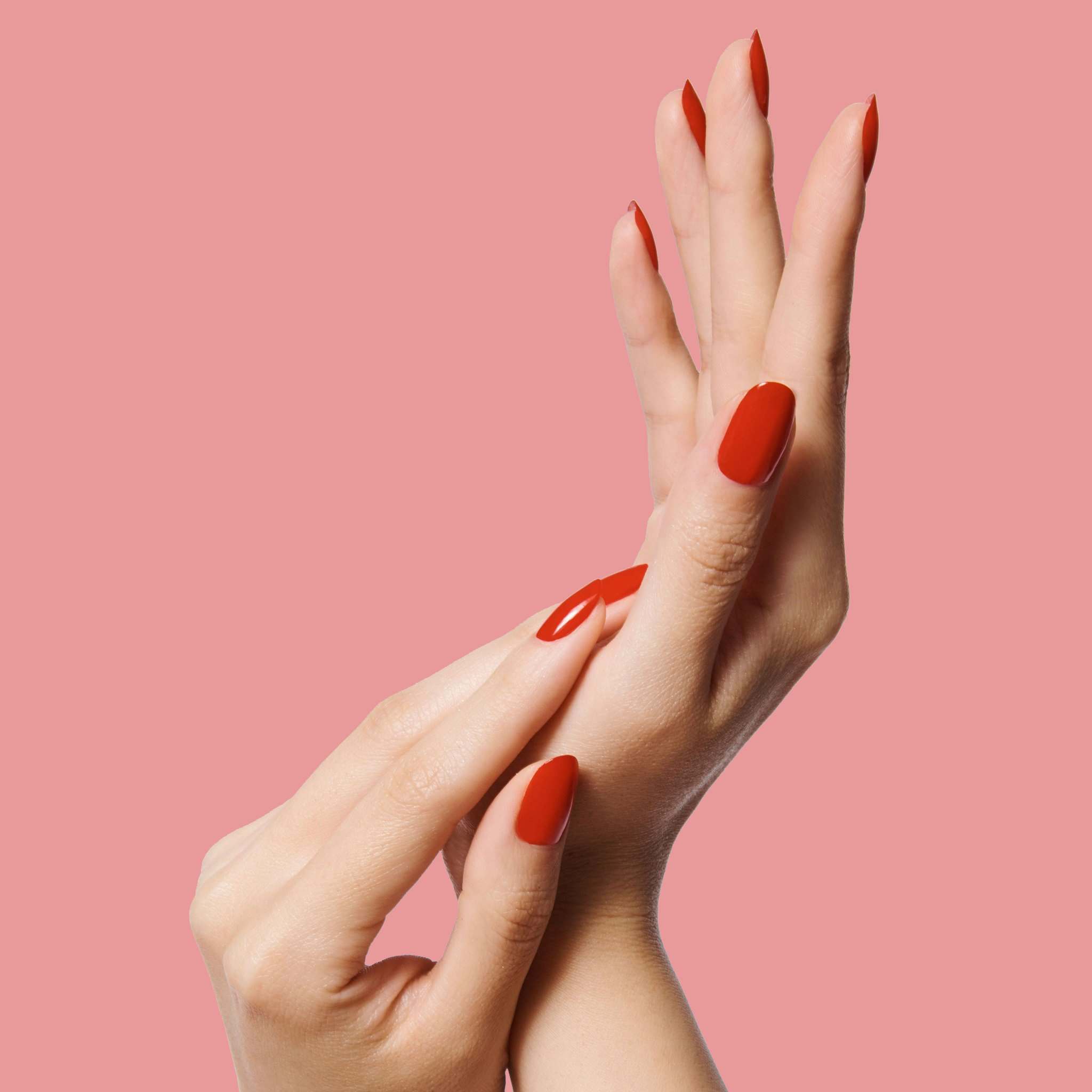 CV、mySite、solidvoid