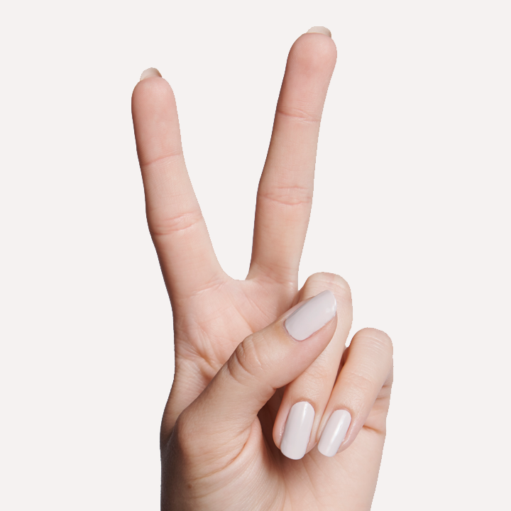 ECC、mySite、solidvoid