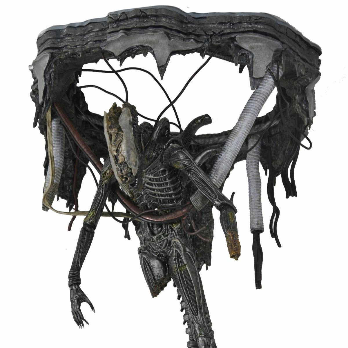NECA Alien: Romulus Deluxe Suspended Lab Xenomorph XX121、mySite、hgirdovlk