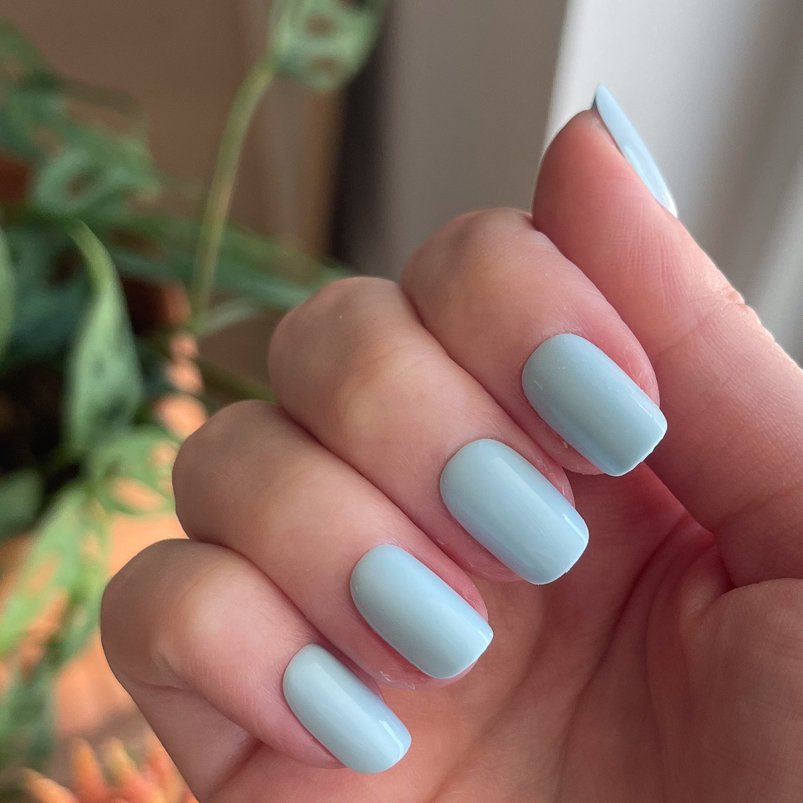 Honest & True - Press-On | Short | Squoval、mySite、solidvoid