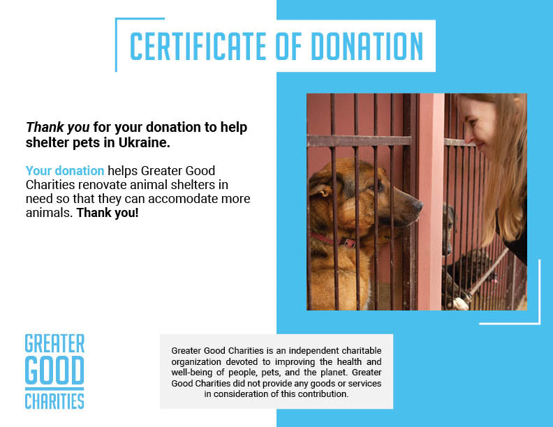 Struck By Missiles Twice - Animal Shelter Desperately Needs Support、mySite、camillekostekn