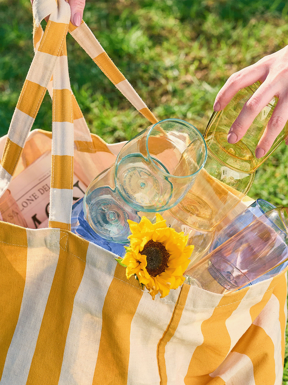 MSRP POP 14oz Vino - Color Set、mySite、camillekostekn