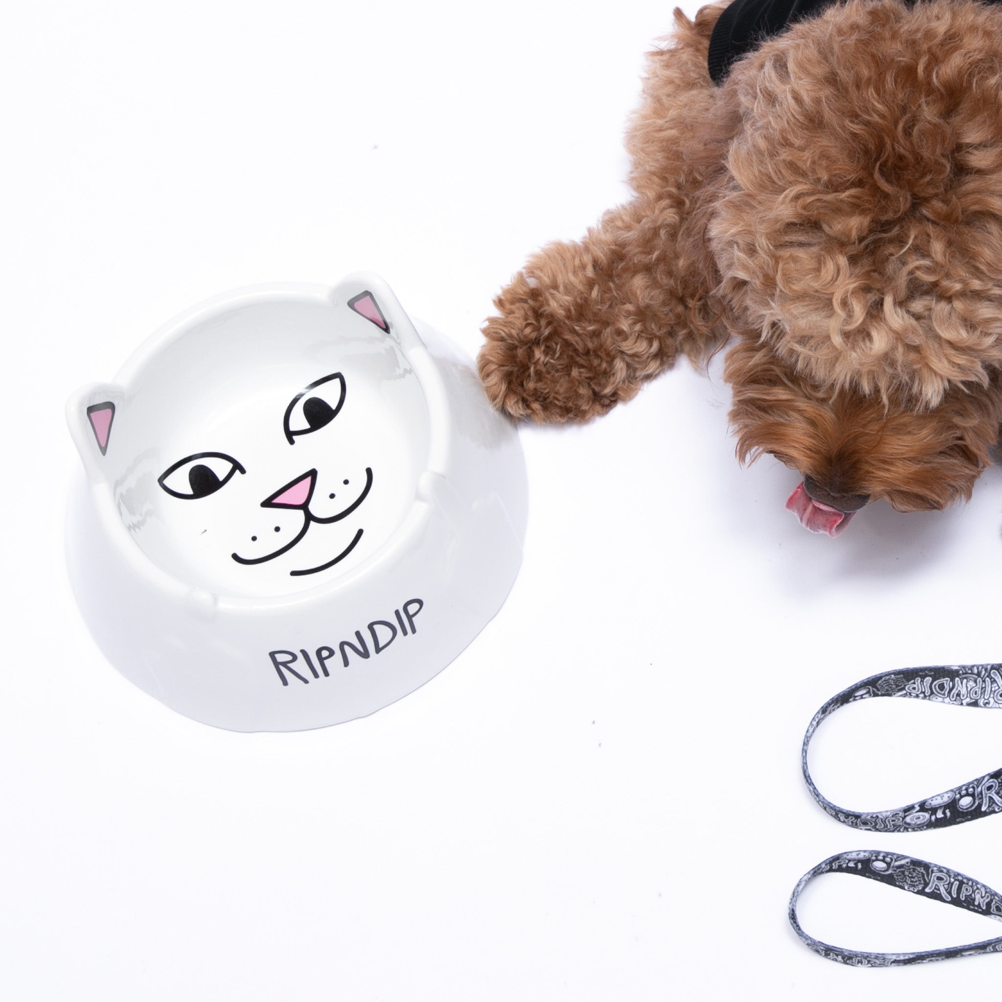  Lord Nermal Pet Bowl (White)、mySite、merchandisen
