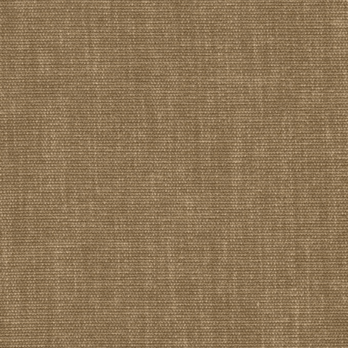 Grade B: Everglade EV063、mySite、neckold