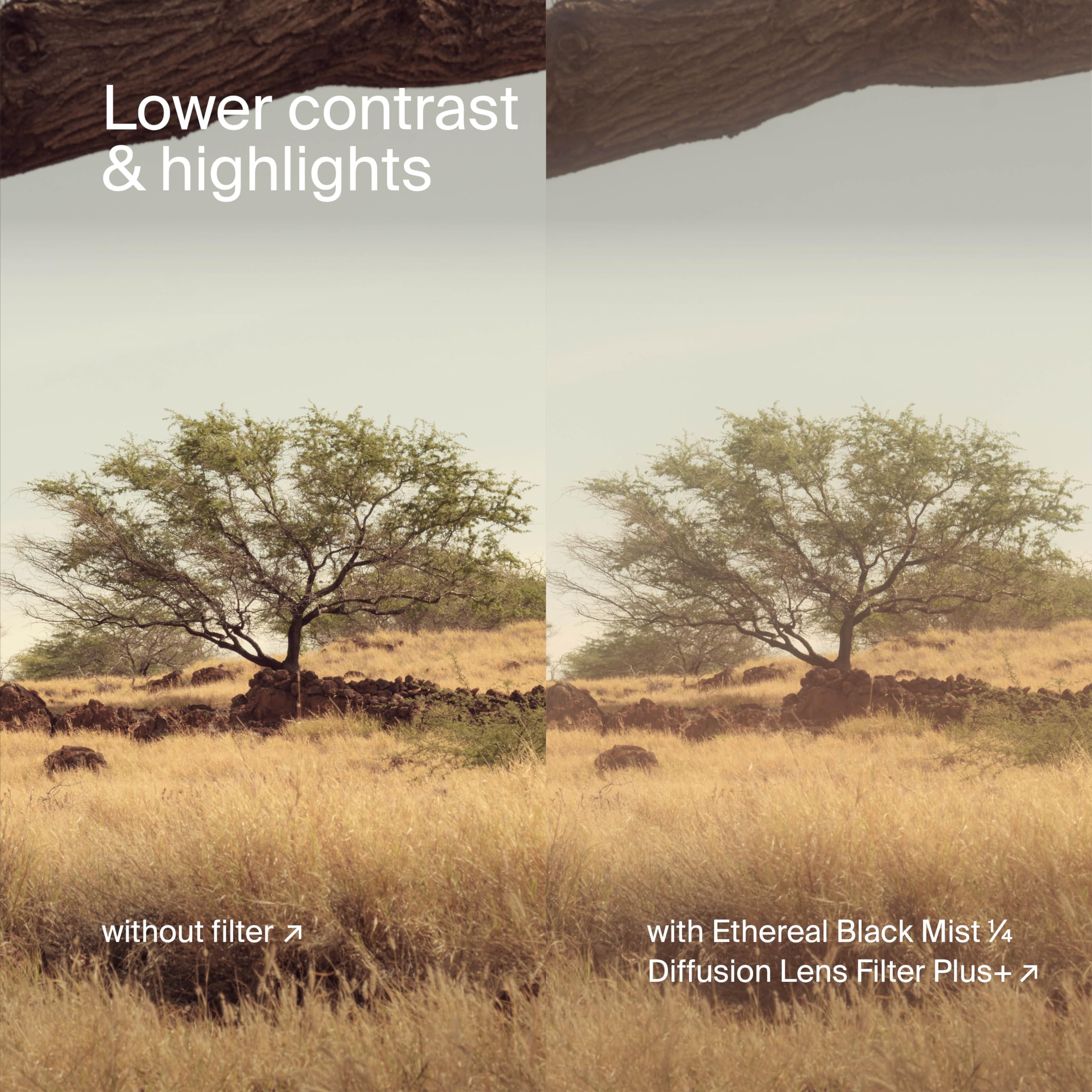 Urth 67mm Ethereal Diffusion Lens Filter (Plus+)、mySite、camillekostekn