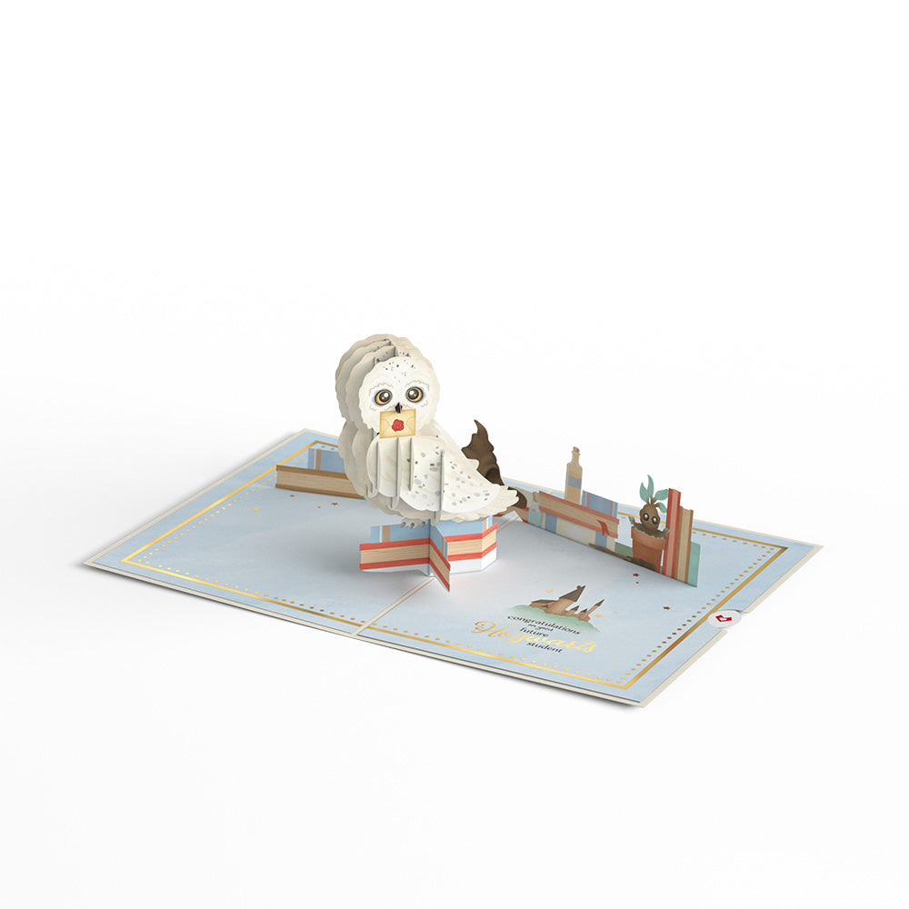 Harry Potter™ Special Delivery Baby Pop-Up Card、mySite、solidvoid