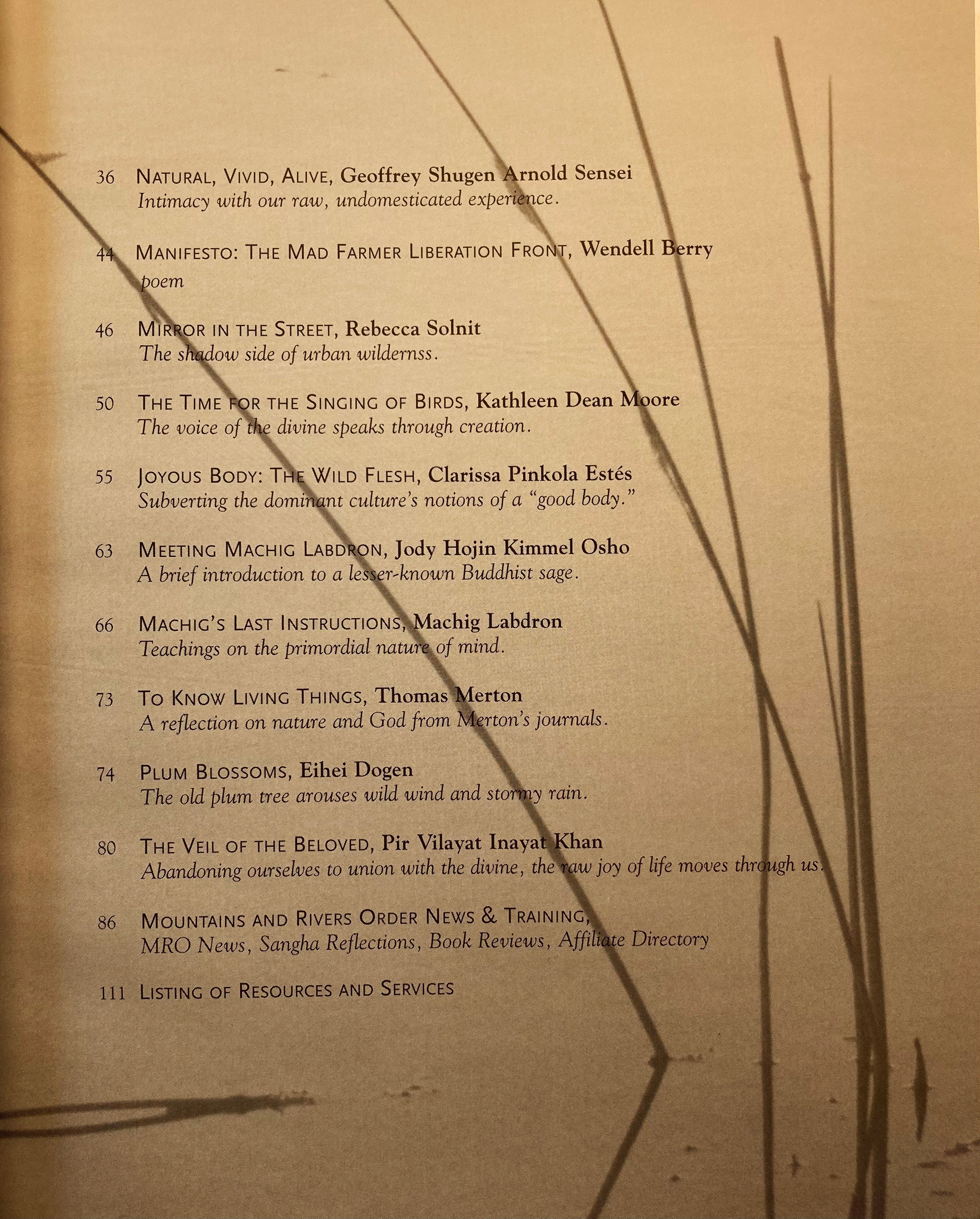 Wildness - Mountain Record, Vol. 32.4, Summer 2014、mySite、topwebapps