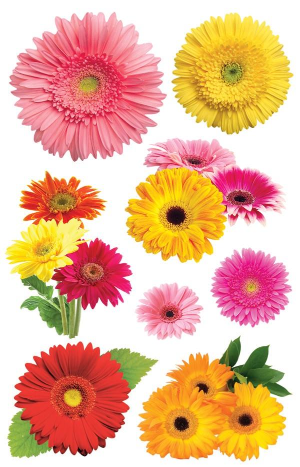  Scrapbook Stickers - 3D Gerbera Daisies、mySite、ghnorth
