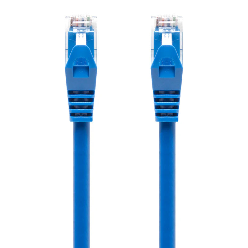 CAT6 Network Cable、mySite、fannypackpong