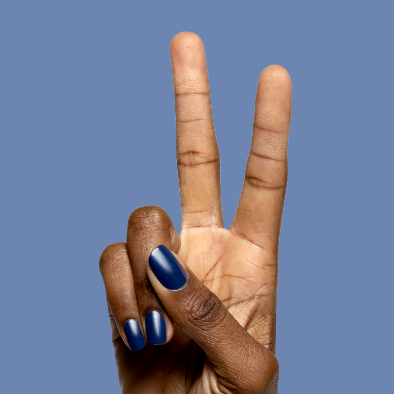 Ack, A Shark!、mySite、solidvoid