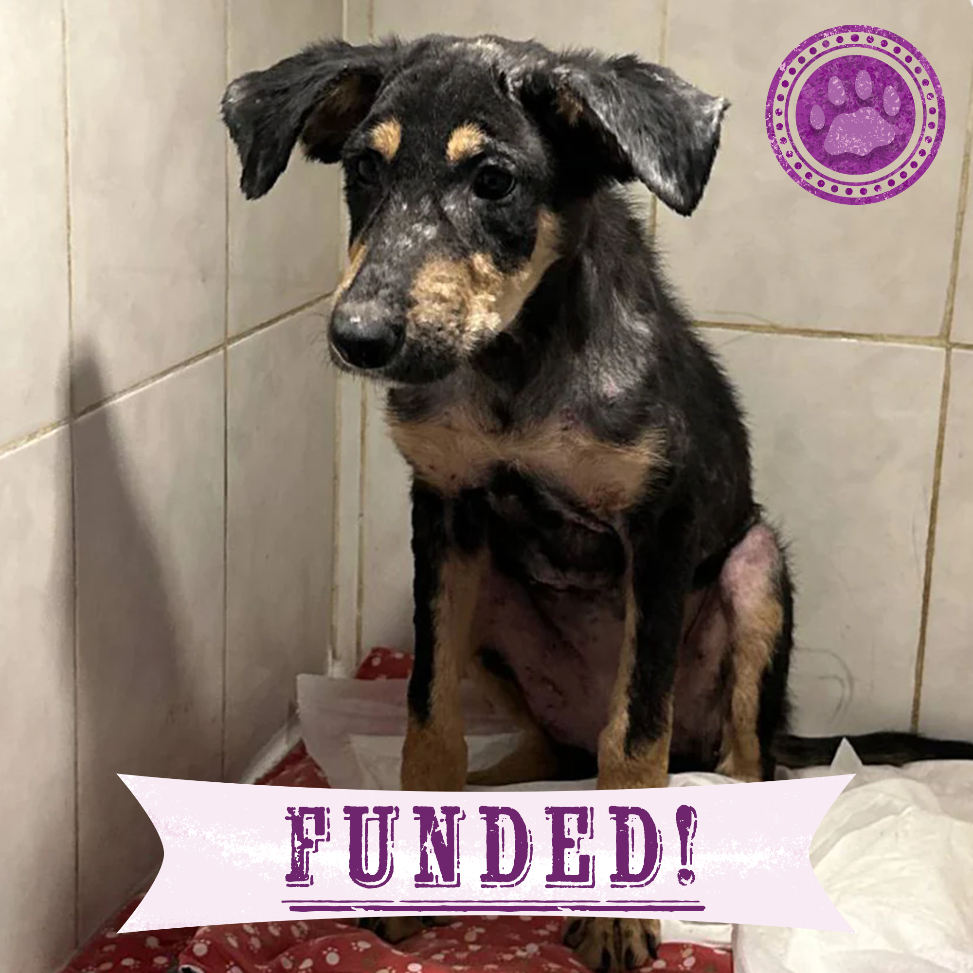 Funded: Save Judith's Skin From Infection、mySite、camillekostekn