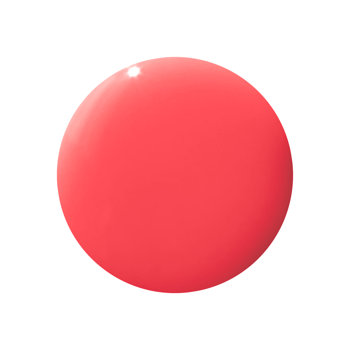 Flamingo、mySite、solidvoid