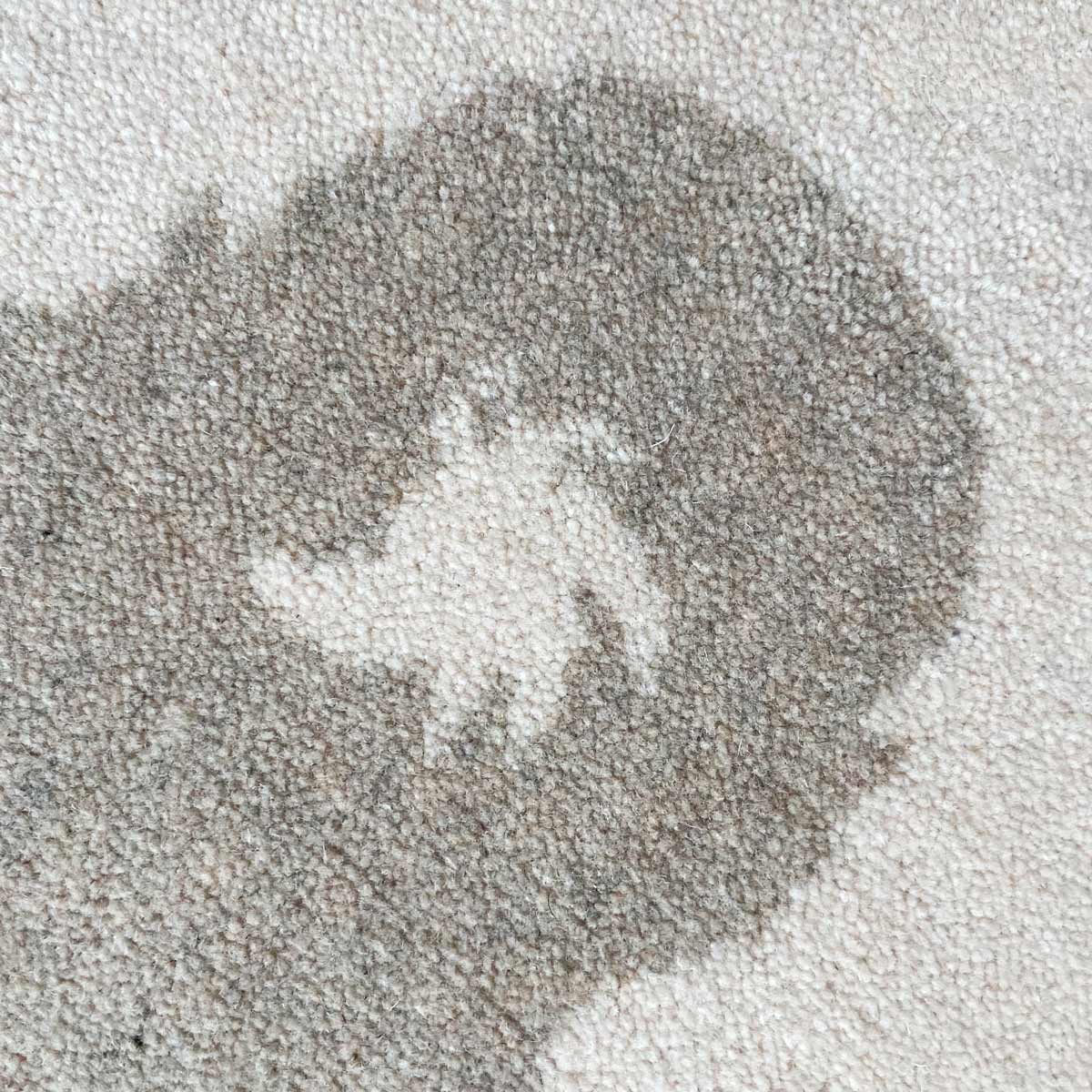 Bear Beige Area Rug、mySite、gigharbornorthrealestate