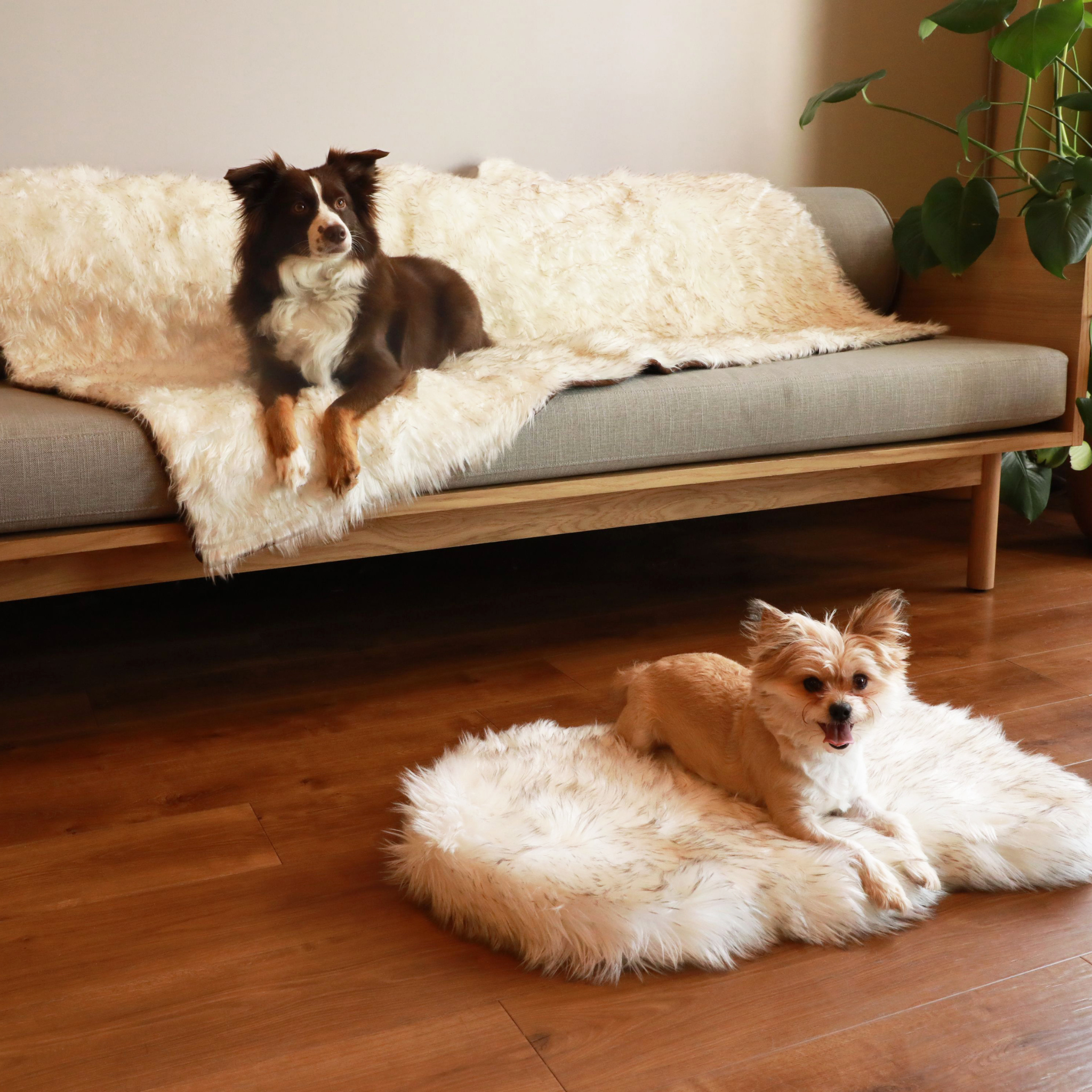 PupRug™ Orthopedic Bed + Matching Waterproof Blanket Bundle - White with Brown Accents、mySite、solidvoid