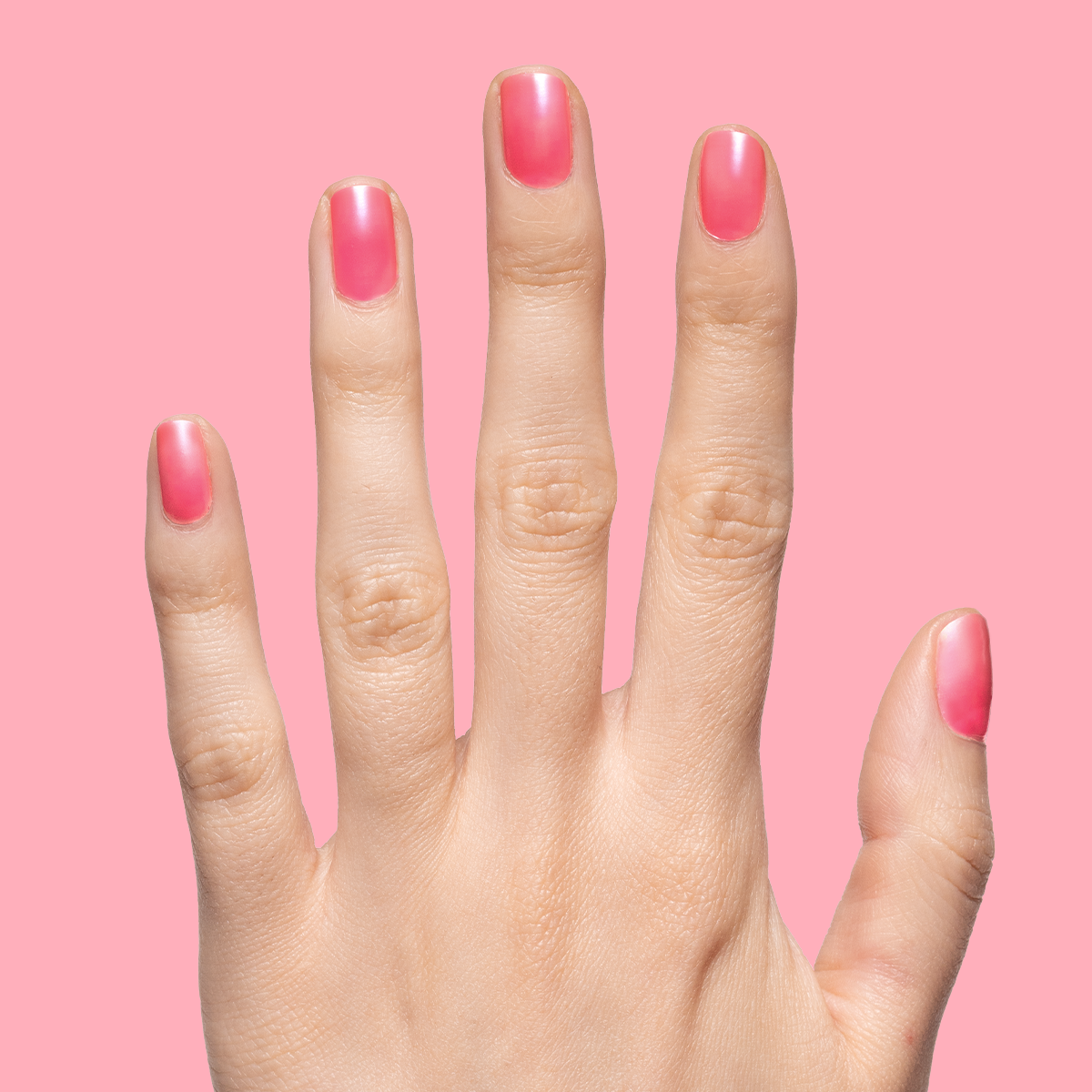 Guava Gloss、mySite、solidvoid